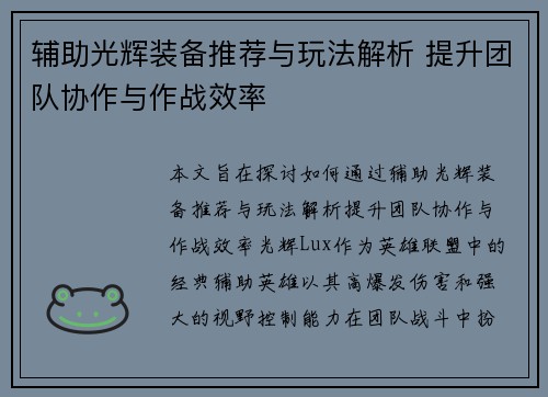 辅助光辉装备推荐与玩法解析 提升团队协作与作战效率